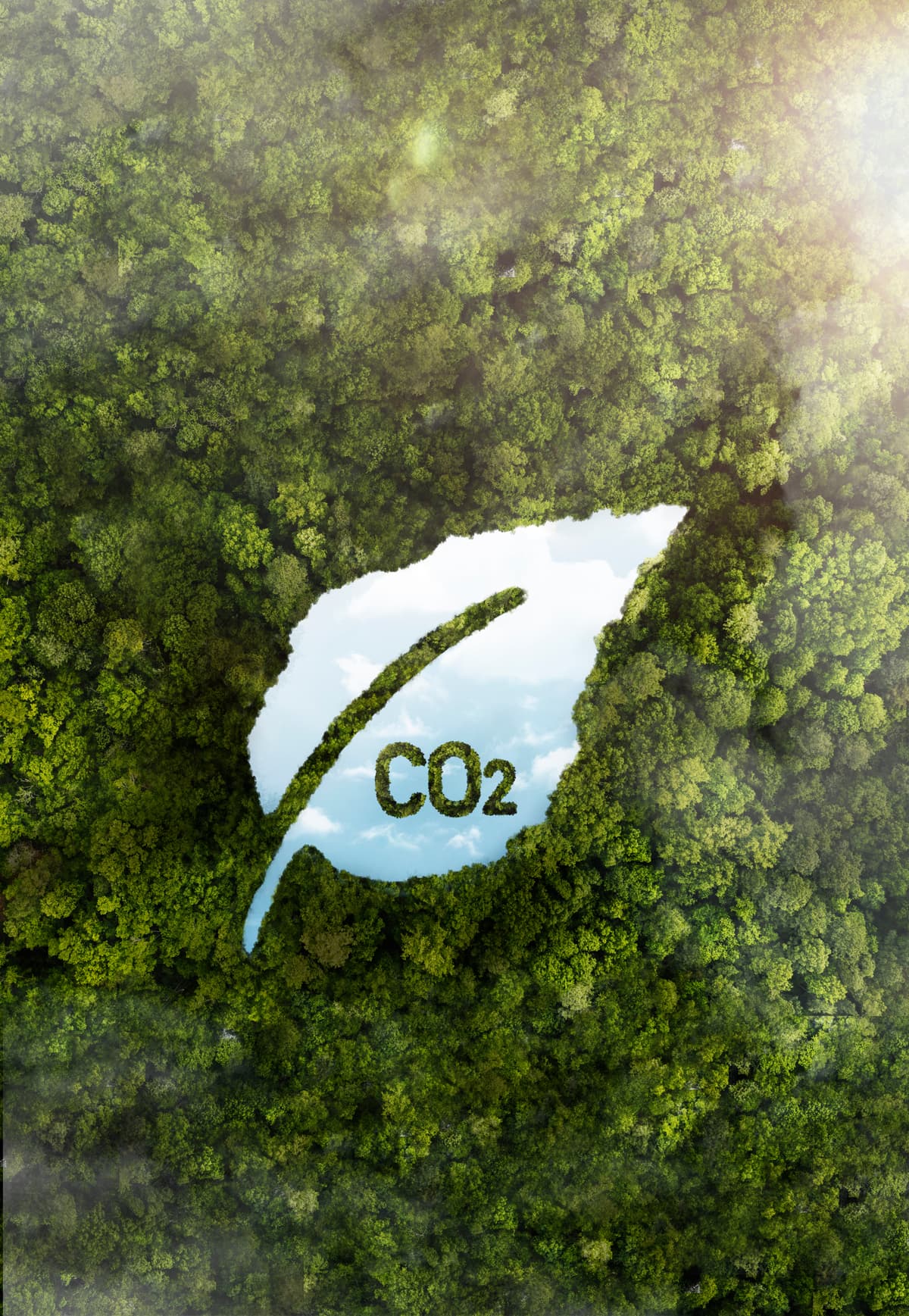 Carbon Credit Monetization