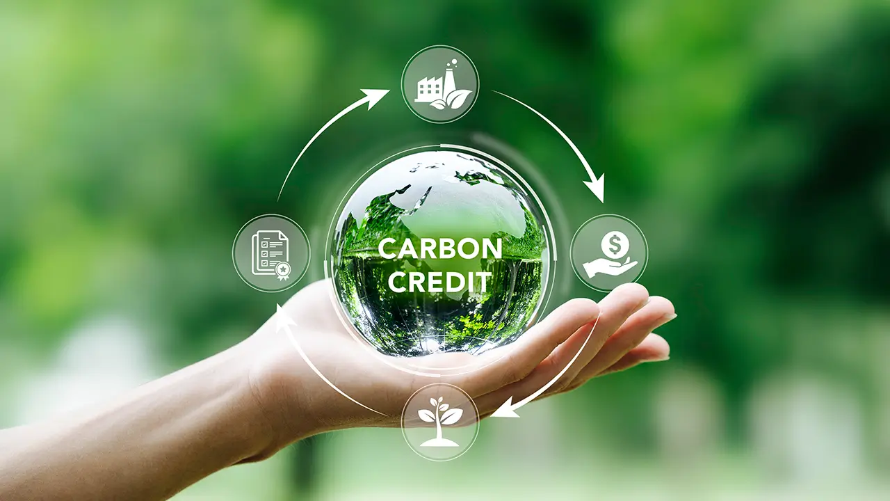 Monetization via Carbon Credit Markets
